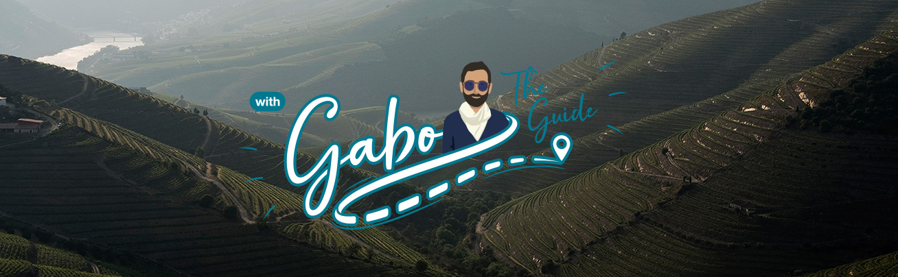 UN GUIDE QUI A BEAUCOUP À DIRE SUR PORTO ET LE NORD DU PORTUGAL